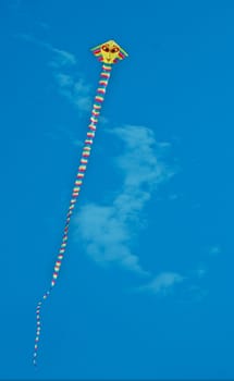 Kite flying under the sky