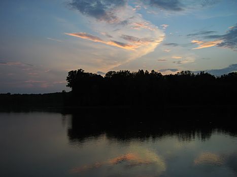 A photograph of a forest at twilight.