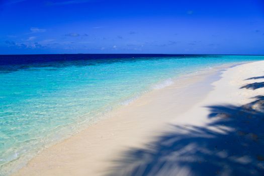 Tropical Paradise at Maldives with palms and blue sky