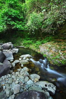 water spring