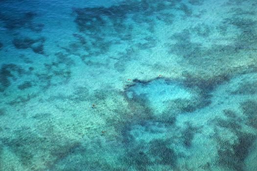 View through clear water to ocean floor.