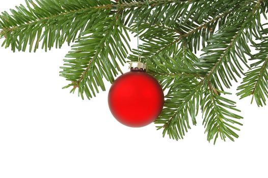 Christmas ball hanging in a christmas tree