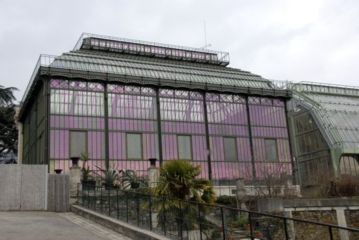 greenhouse of museum d'histoire naturelle in Paris