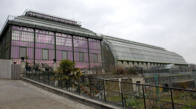greenhouses of museum d'histoire naturelle in Paris