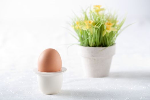 Boiled egg with spring flower pot in the background