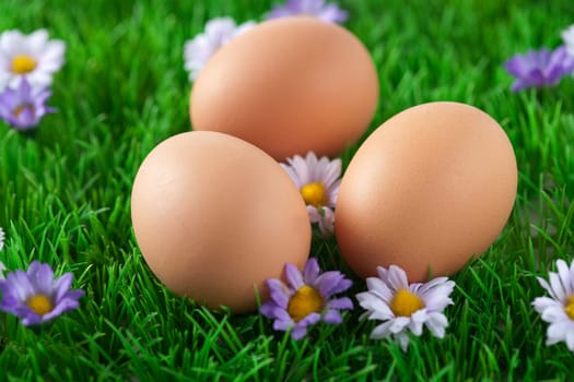 Three chicken eggs lying in a (fake) field with grass and flowers