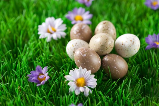 Small easter eggs on a green meadow with flowers