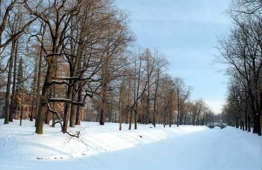 Aqueduct with trees in winter park