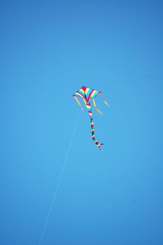 Kite and blue sky