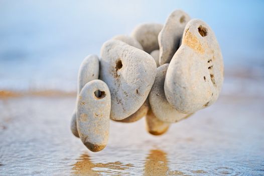 The sea pebble flies over water in the summer morning