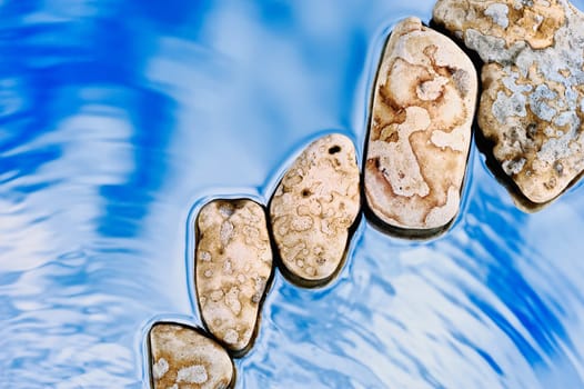 Five sea stones lay on a wet mirror