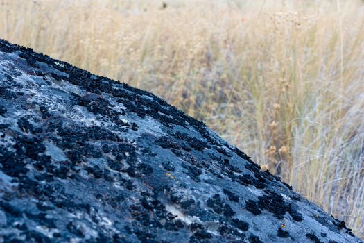 texture, pattern, stone in a yellow meadow
