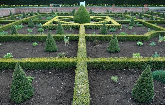 A traditional English knot garden with box hedges