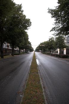 A empty wet street an early morning, trees beside the road on both sides.