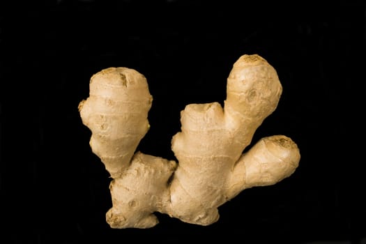 Ripe root of the ginger in isolated over black
