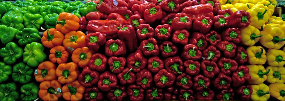 Fresh organic Bell Pepper, 4 colors on store shelf for sale