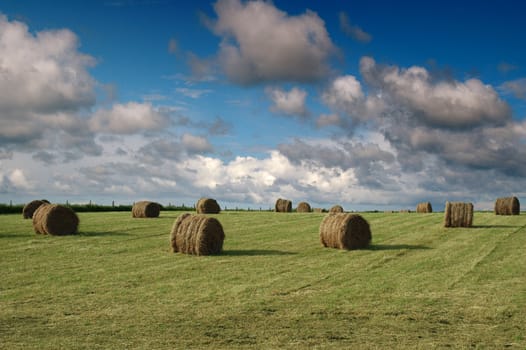 Bales of Hay in a Field on th Isle of Tiree