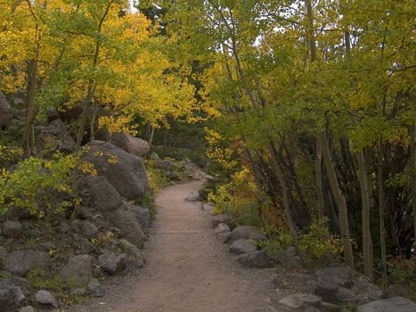 September along the Glacier Gorge trail in Rocky Mountain National Park, Colorado.