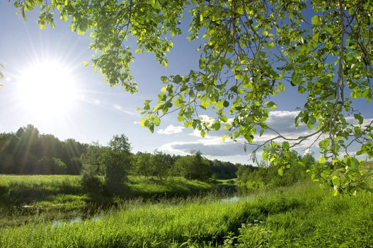 summer landscape with river and blue sky