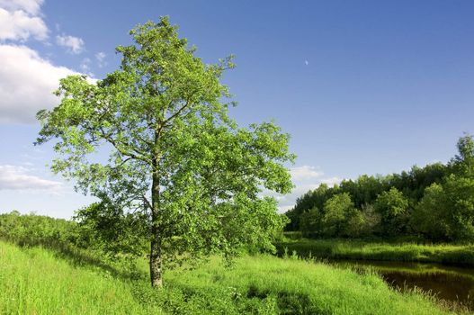 summer landscape with river and blue sky