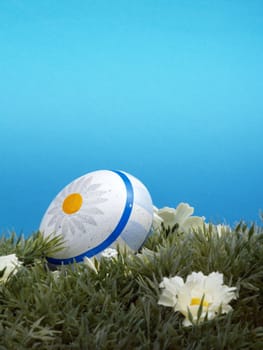 handpainted daisy design on easter egg, artificial grass and blossoms, shades of blue background
