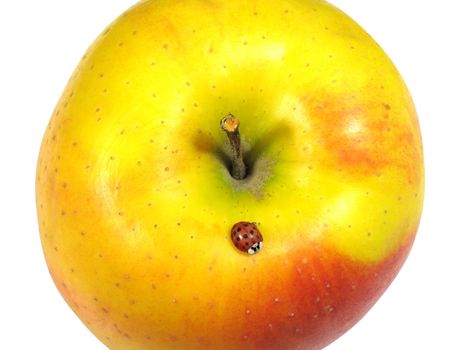 Yellow apple with above a ladybird