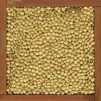 green lentils background in  a primitive, wooden frame or box