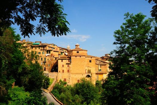 View Of The Historic Center Of Siena, Italy