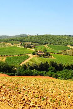 Hill Of Toscana With Vineyard In The Chianti Region