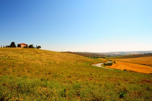 Cypress Alley Leading To The Farmer's House In Tuscany