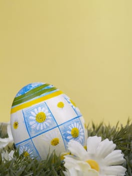 handpainted daisy design on easter egg, artificial grass and blossoms, yellow background