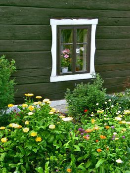 flower-bed by wooden wall with a window