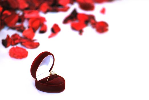 engagement ring in red box and petals on white background