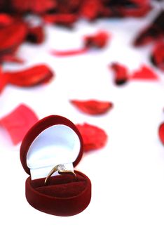 engagement ring in red box and petals on white background