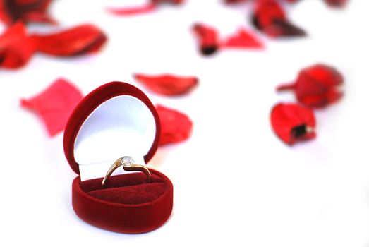 engagement ring in red box and petals on white background