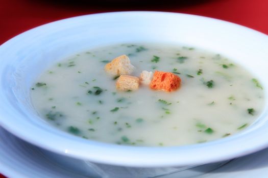 White plate with soup on a red cloth