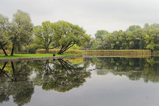 A lake in an early autumn park on a cloudy and foggy day, with a fisher-man and ducks.