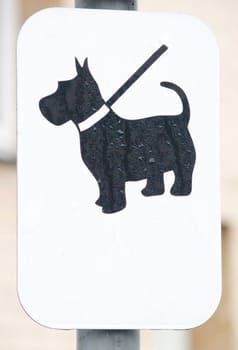 Black dog on white sign with copy space