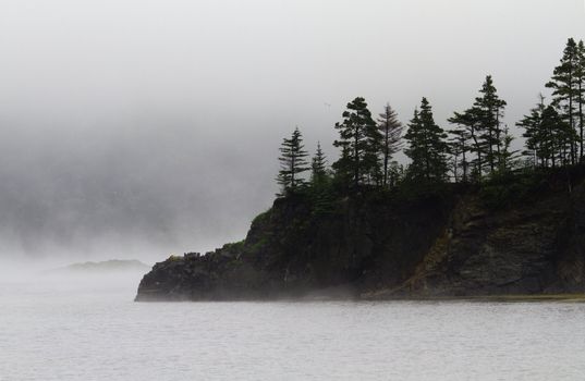 Fog veils island and small peninsula