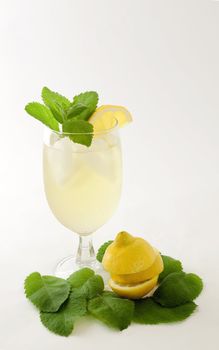 Icey damp glass of iced tea with mint sprig and lemon slice with unusual cut lemon and leafy base presents appealing refreshment