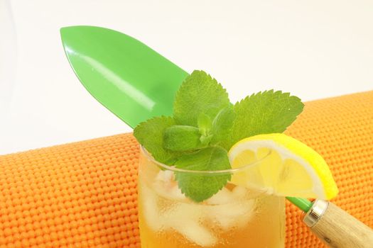 Fit, meaningful leisure activities of gardening and yoga are reflected in bright green trowel, orange yoga mat, and ice tea with mint and lemon; 