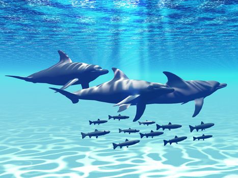 Three Bottlenose Dolphins swim with a group of reef fish.