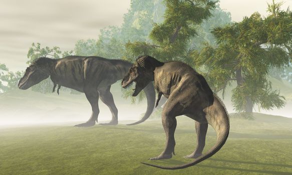Two Tyrannosaurus Rex dinosaurs rest in the early morning light before the days hunt.