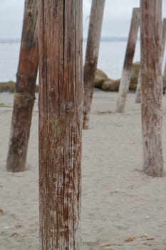 Reminents of an old ocean pier focus on single vertical post with the other posts in background
