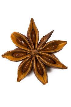 closeup of one star anise on white background