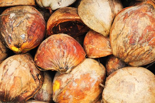 Dried coconut husks