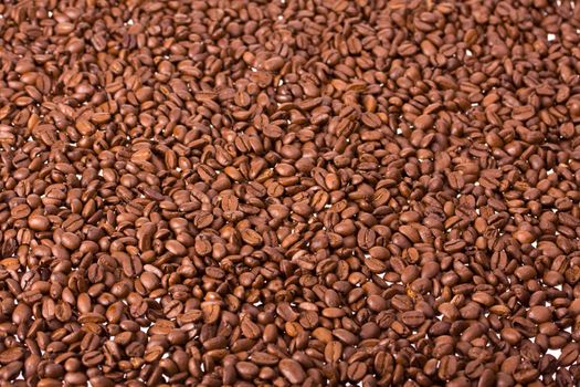 coffee beans useful as a brown background