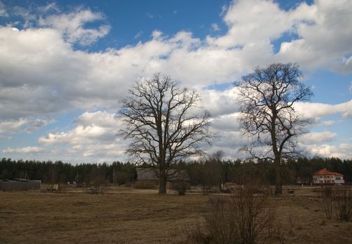 Clouds and Land;