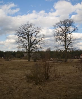 Clouds and Land;