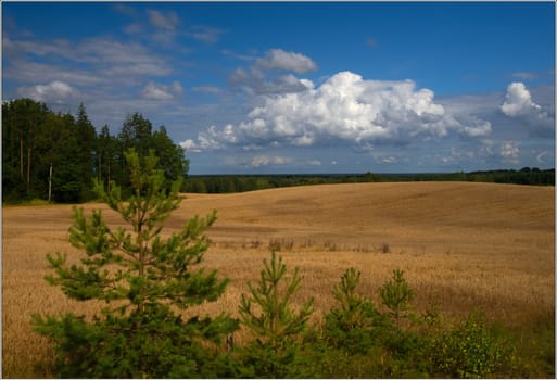 Clouds and Land;